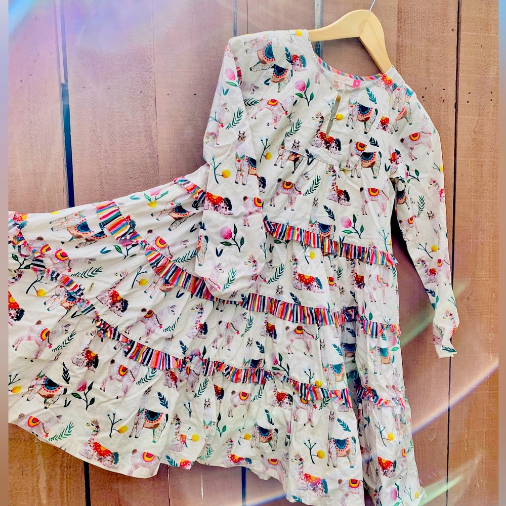 LIKE NEW - Pink Chicken llama dress